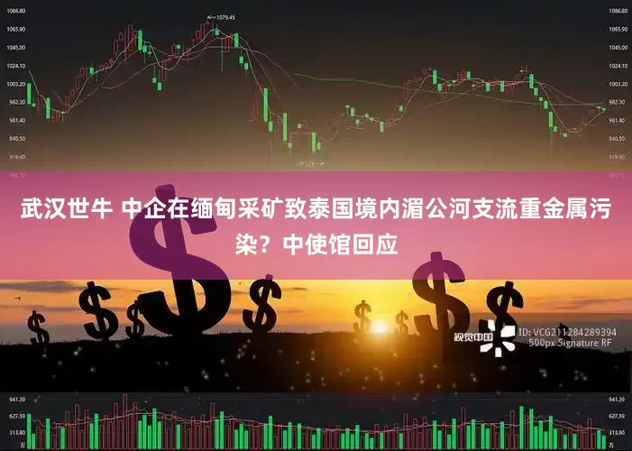 武汉世牛 中企在缅甸采矿致泰国境内湄公河支流重金属污染？中使馆回应