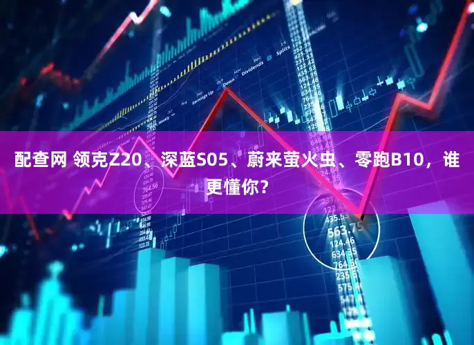 配查网 领克Z20、深蓝S05、蔚来萤火虫、零跑B10，谁更懂你？