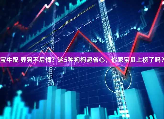 宝牛配 养狗不后悔？这5种狗狗超省心，你家宝贝上榜了吗？