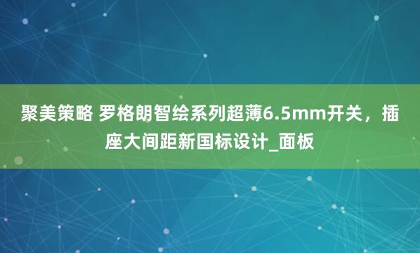 聚美策略 罗格朗智绘系列超薄6.5mm开关，插座大间距新国标设计_面板