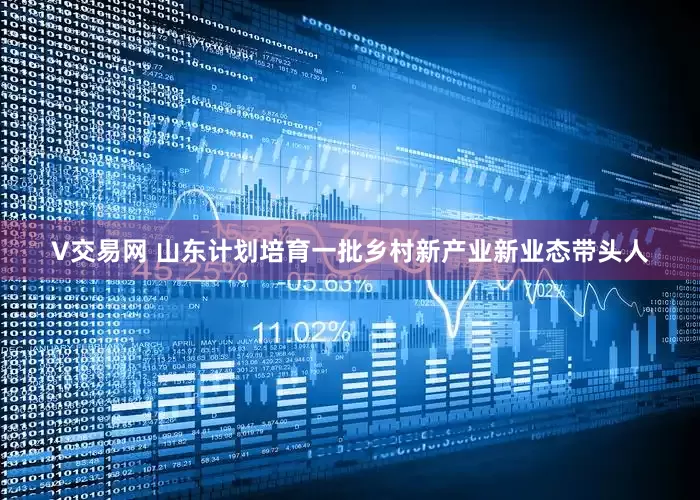 V交易网 山东计划培育一批乡村新产业新业态带头人