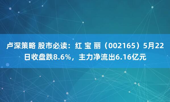 卢深策略 股市必读：红 宝 丽（002165）5月22日收盘跌8.6%，主力净流出6.16亿元